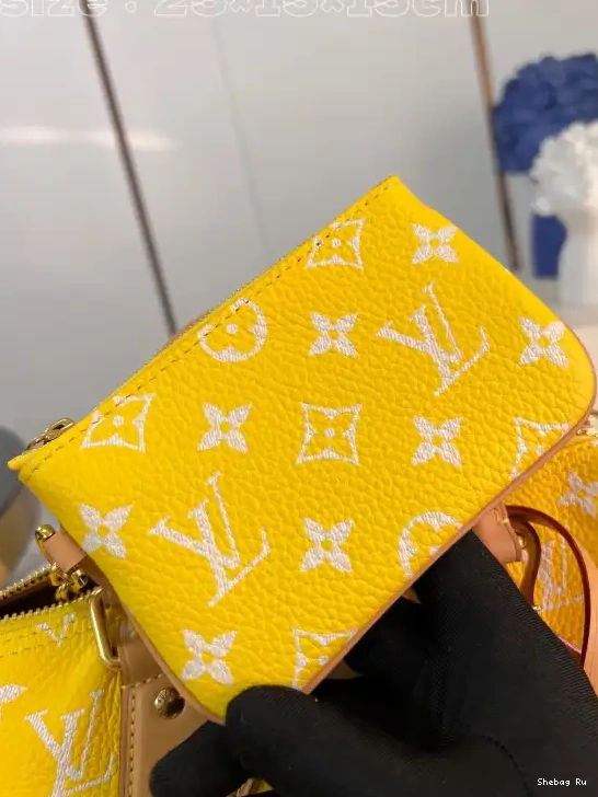 Louis Vuitton SPEEDY 25 0613